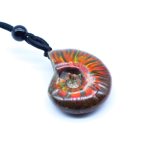 Natural pendant color spots screw, the nautilus, chrysanthemum stone, snail, necklace